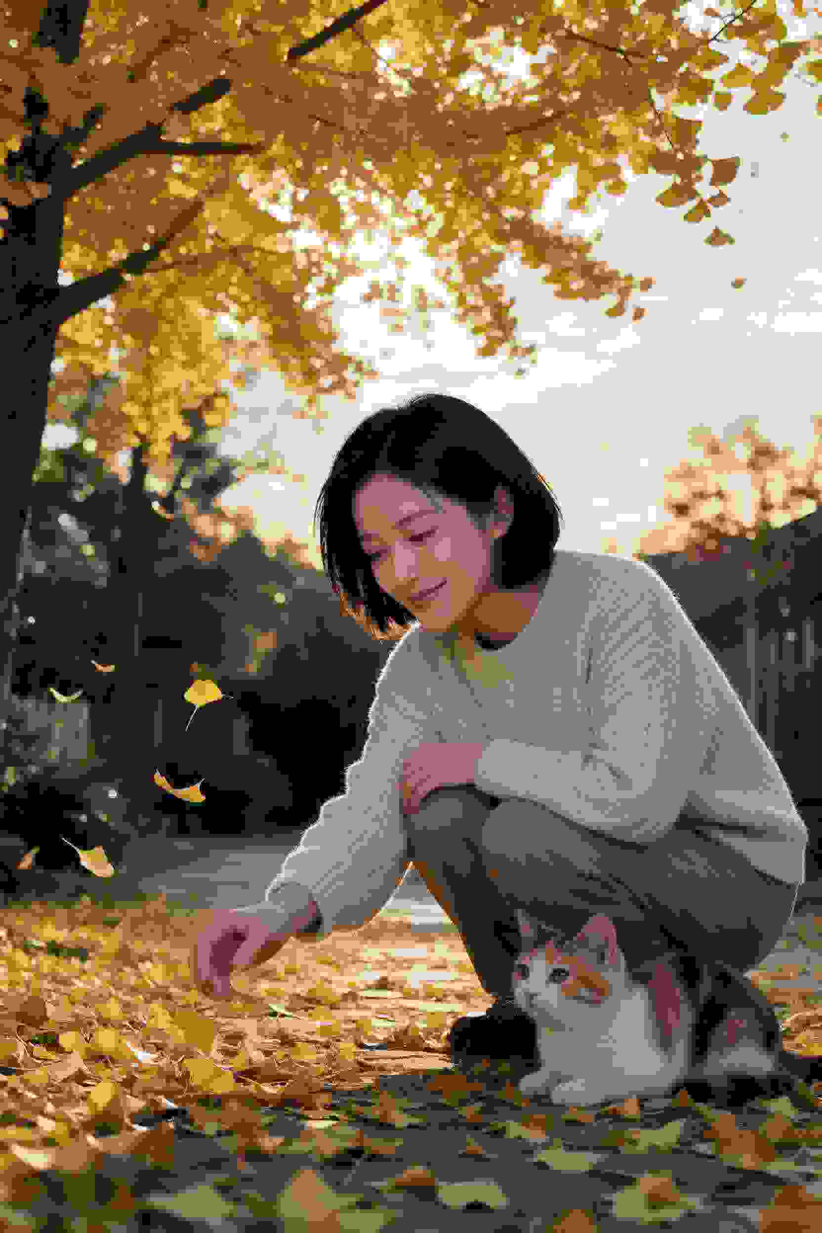 外科风云